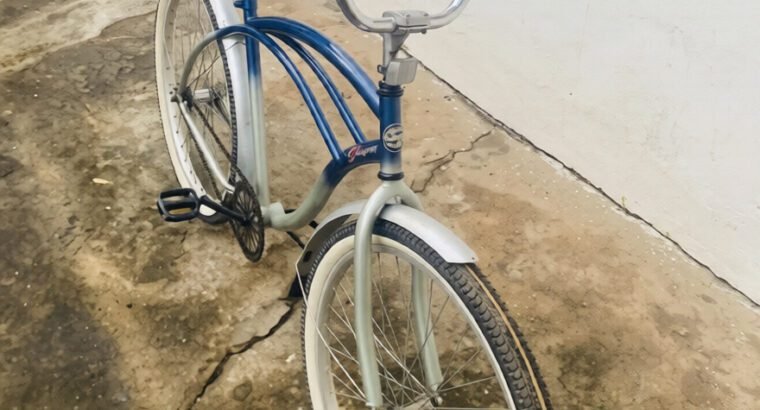 Bicycle Blue