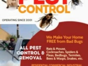 Effective Fumigation Against Reptiles, Rodenticide Etc