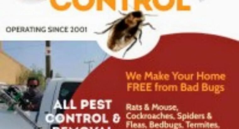 Effective Fumigation Against Reptiles, Rodenticide Etc