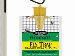Houseflies Trap With Attractant