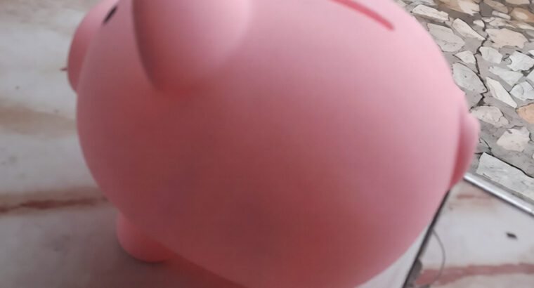 Piggy Bank Susu Box