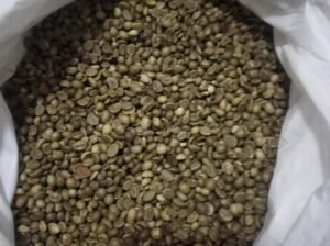 Coffee Beans for Sale