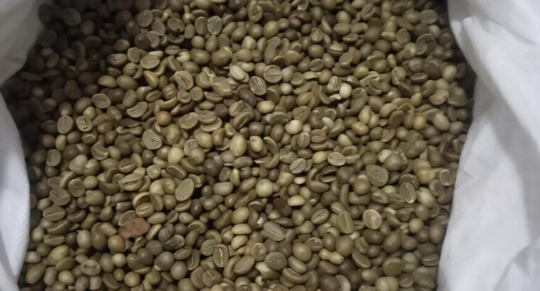 Coffee Beans for Sale