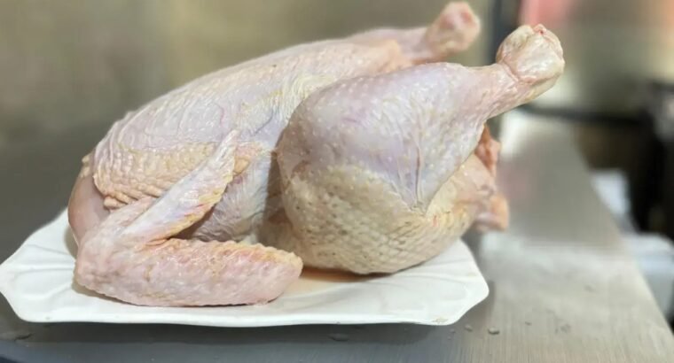 Locally Raised Broilers (Live Or Dressed)