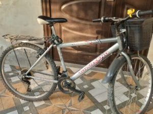 Mountain Bicycle
