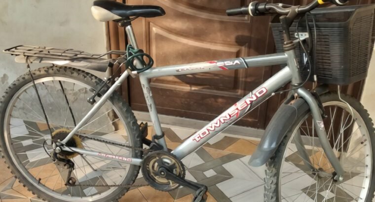 Mountain Bicycle