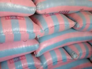 Maize Grains From Togo for Sale