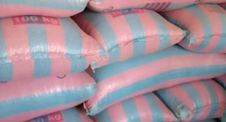 Maize Grains From Togo for Sale