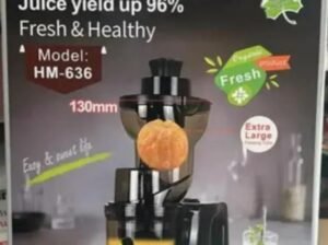 Slow Juicer at an Affordable Price