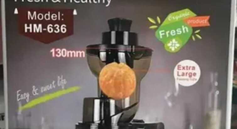 Slow Juicer at an Affordable Price