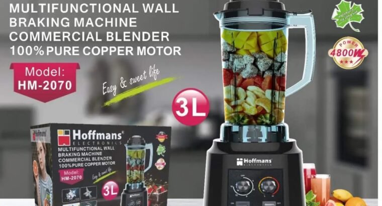 Hoffman Electric Blender at a Great Price
