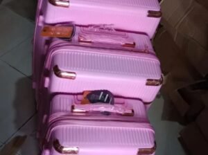 4 in 1travelling Bags