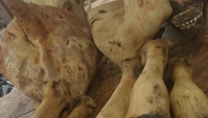 Fresh Smoked Cow Head With Four Legs