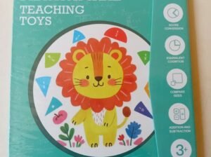 Magnetic Fraction Disc