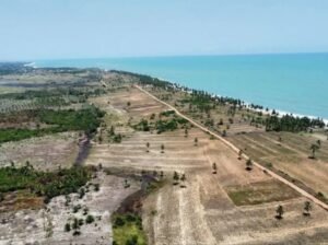 Prime Seaside Land for Sale at Elmina