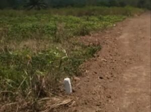 Purchase Land in an Area With Access to Building Materials