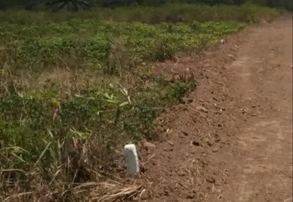 Purchase Land in an Area With Access to Build...