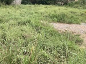 Titled 1 and Half Plot of Land for Sale at Kasoa Opeikuma