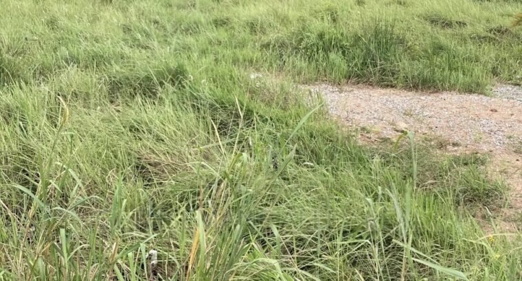 Titled 1 and Half Plot of Land for Sale at Ka...