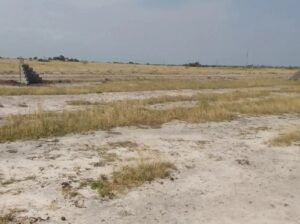 Beautiful Serene Loving Estate Land