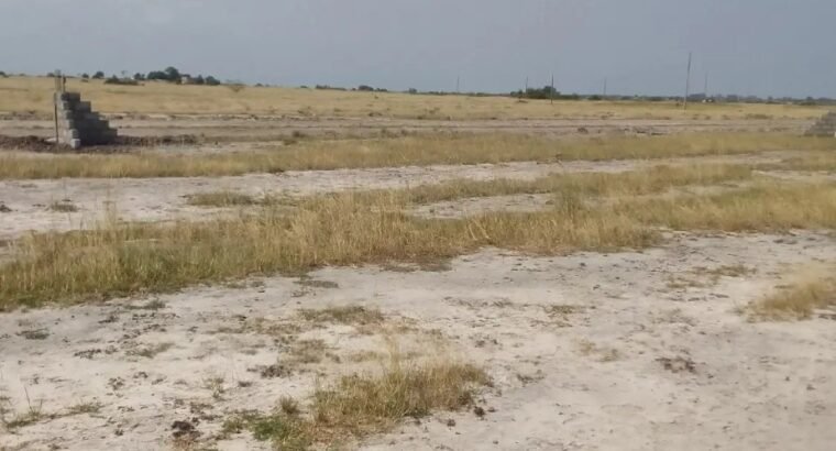 Beautiful Serene Loving Estate Land