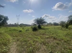 Affordable Beach Land