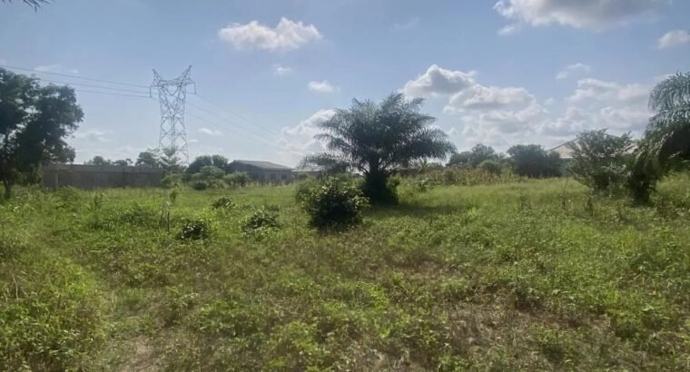 Affordable Beach Land