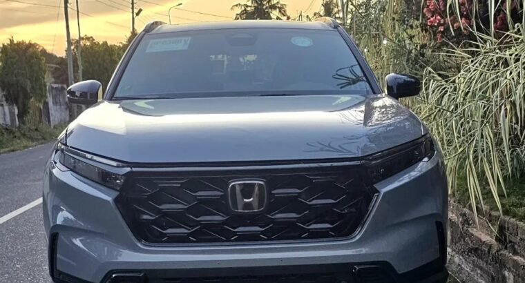 Honda CR-V 2024 Gray