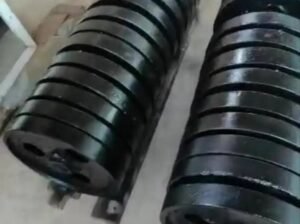 Pair of Local Gym Plates