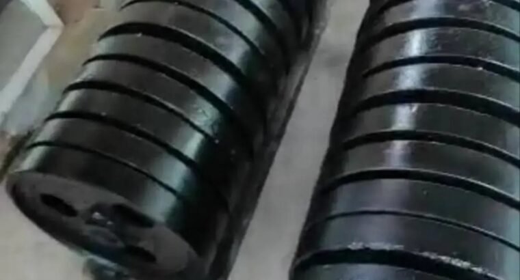 Pair of Local Gym Plates