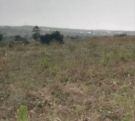 Free Zone Land for Sale