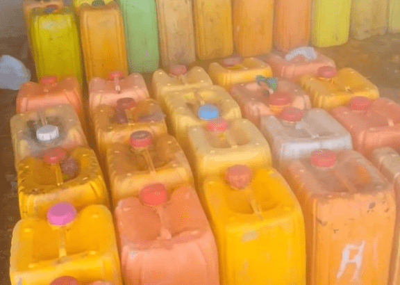 Vegetable Oil for Soap Making and Cooking (Unrefined)