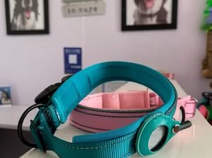 Dog AirTag Collar – Keep Your Pet Safe & Secure