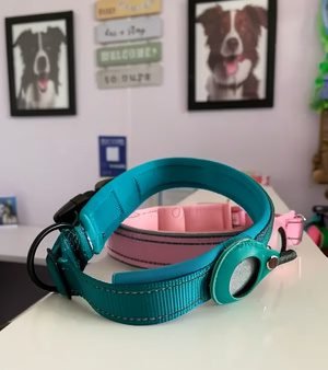 Dog AirTag Collar – Keep Your Pet Safe & Secure