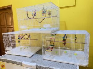 Parrot Cage With Toys