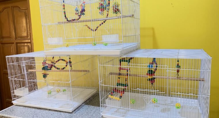 Parrot Cage With Toys