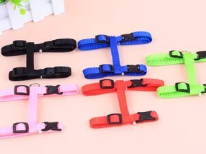 Cat Harness for Outdoor Adventures – Adjustable & Comfortable