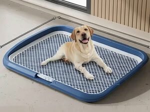 Dog Potty Tray for Indoor Training – Multiple Sizes Available