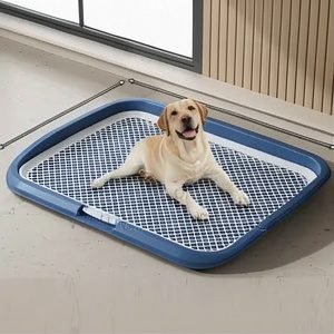 Dog Potty Tray for Indoor Training – Multiple Sizes Available