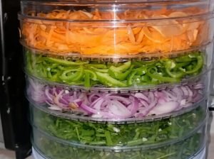 Food Dehydrator Machine Electric Fruit & Vegetable Dryer for Kitchen Use