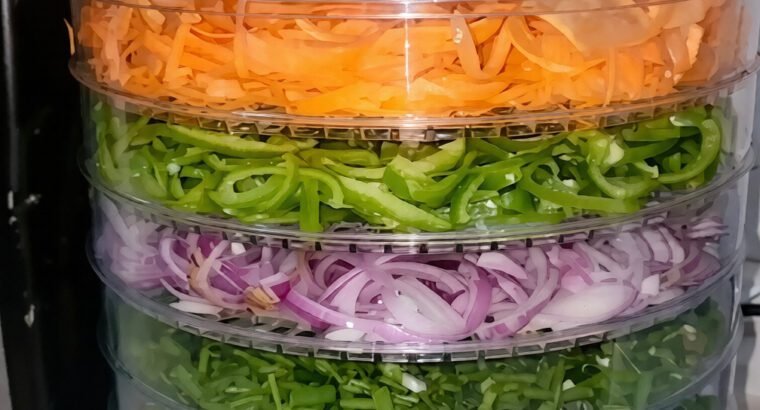 Food Dehydrator Machine Electric Fruit & Vegetable Dryer for Kitchen Use