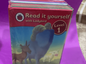 Ladybird “Read It Yourself” Story Books for Kids | Beginner Reading Series