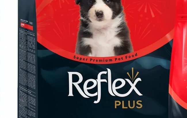 Reflex Plus Puppy/Dog Food.